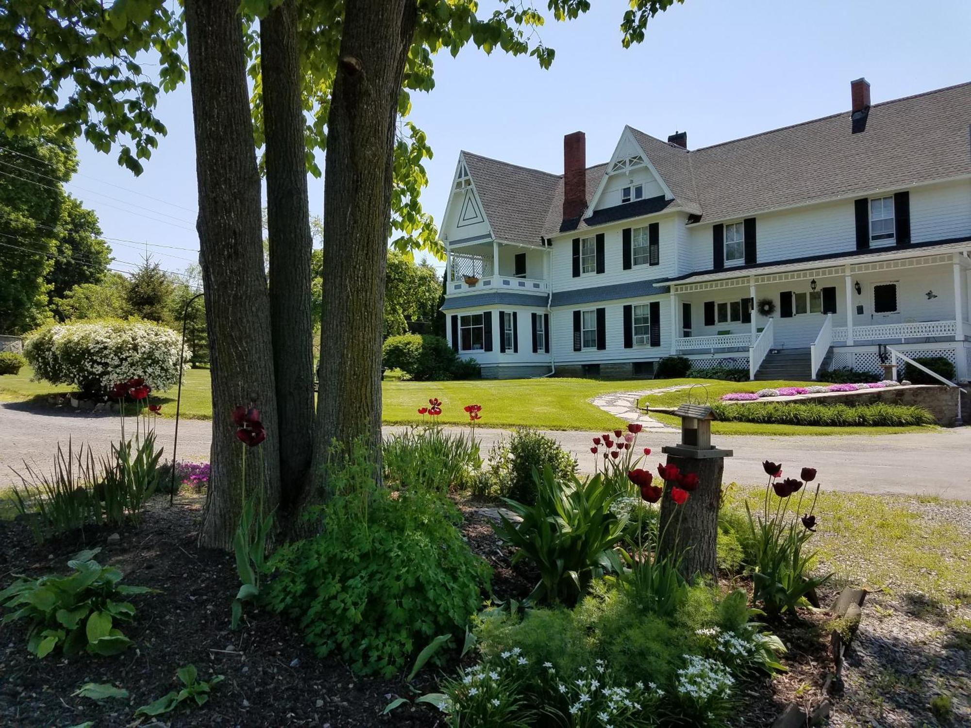 The Fox And The Grapes Bed and Breakfast Lodi Exteriör bild